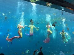 -瑞德姆美人鱼海底演艺主题餐厅(亚龙湾店)