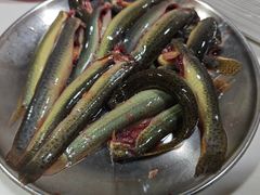 现杀鱼鳅-铜元老码头鳝鱼火锅