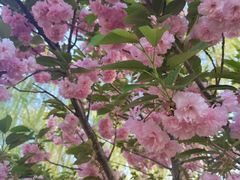 -大兴滨河森林公园