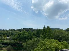 -苏州涵园假日酒店花园餐厅