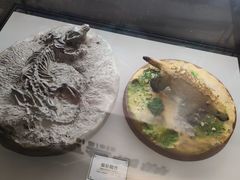 -辽宁古生物博物馆
