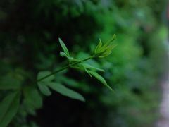 -贵阳市花溪国家城市湿地公园