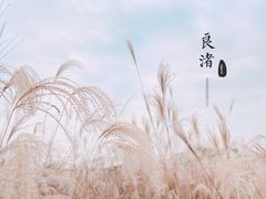 -良渚古城遗址公园