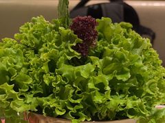 -炭之家·齐齐哈尔非遗烤肉·鲜切直供(中央大街店)