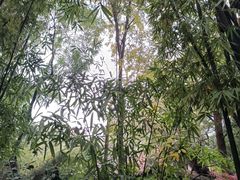 -成都杜甫草堂博物馆