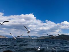 -丽江泸沽湖景区