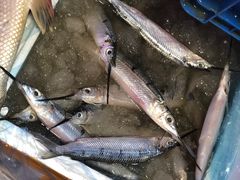 -芦潮港集贸市场