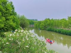 -上海长兴岛郊野公园