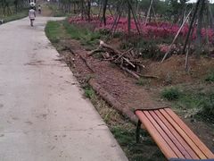 -绵阳盛世樱花悠乐谷