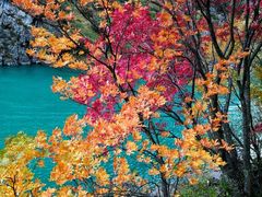 -叠溪松坪沟景区