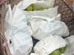 -马陆小张葡萄园农家乐