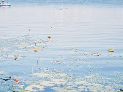 -长春市南湖公园