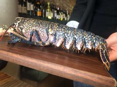 -Osteria Garden 生蚝花园餐厅(原进贤路店)