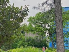 -宁波儿童公园(鄞州区)