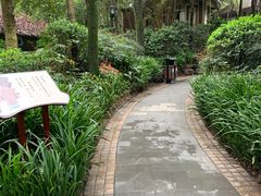 -青城道汤池