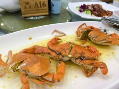 -庭苑美食中心·陈皮烧鹅·海鲜(台山店)