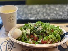 -油梨树AVOCADO TREE(顺义新国展店)