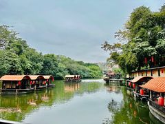 -侨美·唐荔园·40年地道粤菜