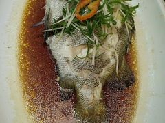 -大东海海鲜酒楼(渔人码头总店)