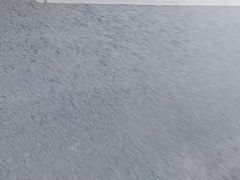 -广西大学(大学东路校区)