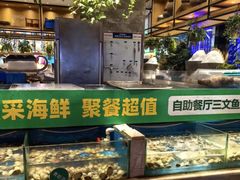 -亚马逊海鲜自助(王府井店)