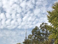 -食膳公园包子铺(烈士公园店)