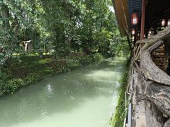 -青城甲(青城山店)