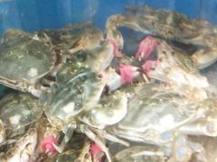 -宾朋海鲜特色美食餐厅·纯手工鲅鱼水饺(兴海路店)