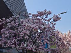 -洋湖国家湿地公园