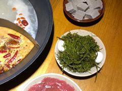 -阳阳老火锅(小南门店)