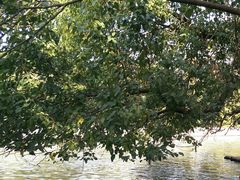 -银涛高尔夫练习场(徐泾店)