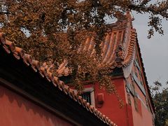 -故宫博物院(故宫)