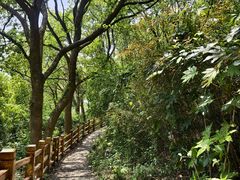 -平湖九龙山旅游度假区