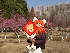 -滨湖塘西河公园