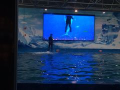 -石林冰雪海洋世界