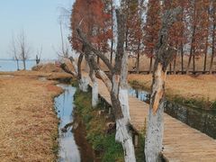 -捞渔河湿地公园