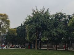 -四川大学(望江校区)