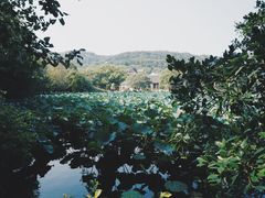 -普陀山慧济禅寺