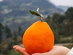 -樱桃山旅游景区