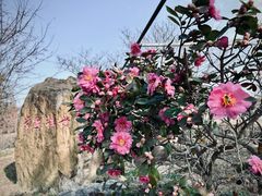 -尚湖风景区
