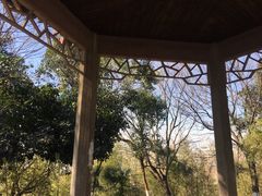 -菊花台公园