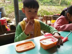 -广东茂名森林公园