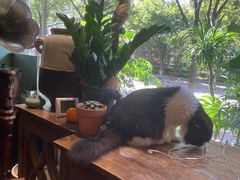 -花到家(富贵鸟花艺行)