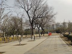 -太阳宫公园