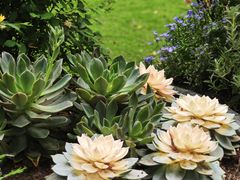 -BOCATA 西班牙餐厅(三里屯店)