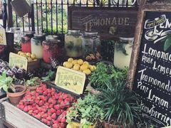 -The Grounds of Alexandria