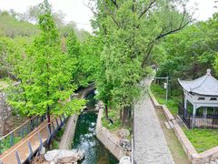 -白水寺森林公园