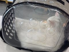 -宠颐生动物医院·全科·骨外科中心·利宠康分院