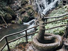 -莫里热带雨林景区