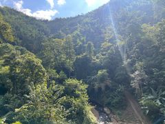 -西双版纳原始森林公园